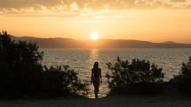 Signature Greece | Songs of the Lyre