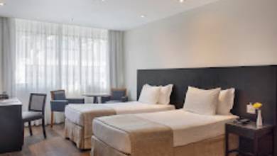 Brazil Wildlife Adventure