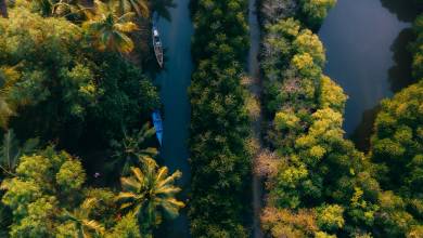 Signature India | Between Spices & Backwaters