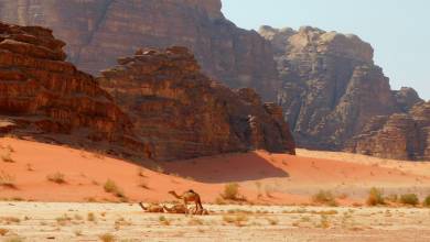 Signature Jordan | Stars and Desert Sands