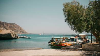 Signature Greece | Songs of the Lyre