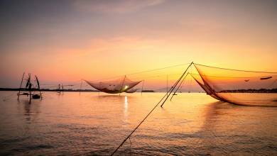 Signature India | Between Spices & Backwaters