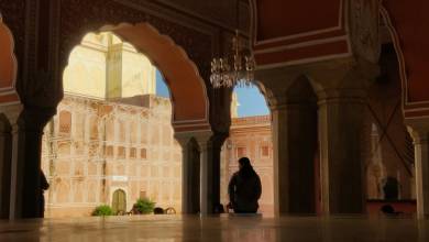 Signature India | The Realm of Royals