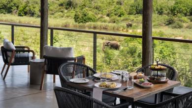 Signature South Africa | Across the Wild Plains