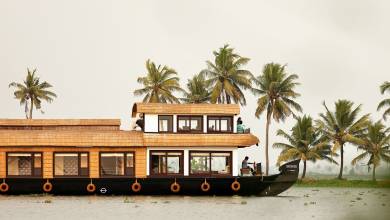 Signature India | Between Spices & Backwaters