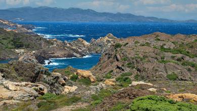 Signature Spain | Catalonia as a Canvas