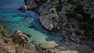 Signature Spain | Catalonia as a Canvas