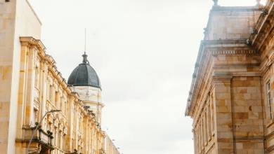 Signature Colombia | Stories Beneath Wax Palms