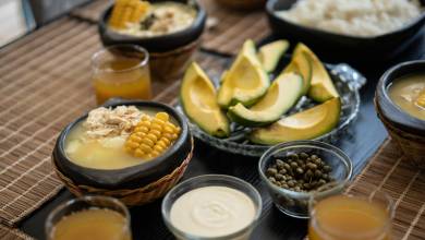 Signature Colombia | Stories Beneath Wax Palms