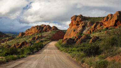 Signature South Africa | Wild Coasts & Winelands