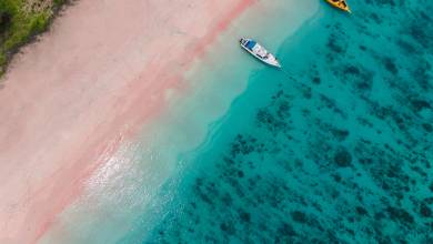 Signature Indonesia | The Sacred Wild Isles