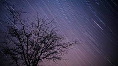 Signature South Africa | Wild Coasts & Winelands