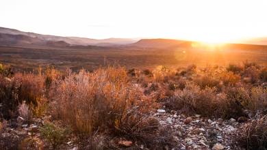 Signature South Africa | Wild Coasts & Winelands