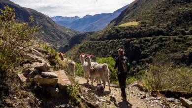Lares Trek to Machu Picchu