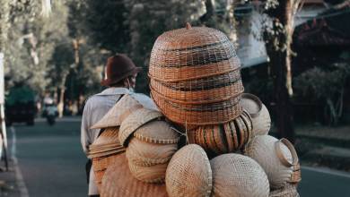 Signature Indonesia | The Sacred Wild Isles