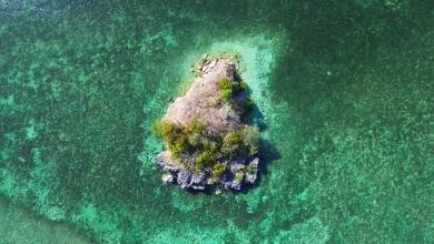 Signature Indonesia | The Sacred Wild Isles