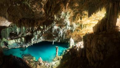 Signature Indonesia | The Sacred Wild Isles