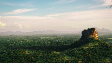 Signature Sri Lanka | The Island of Serendipity