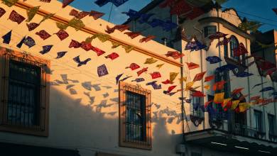 Signature Mexico | Among Ruins & Ritual