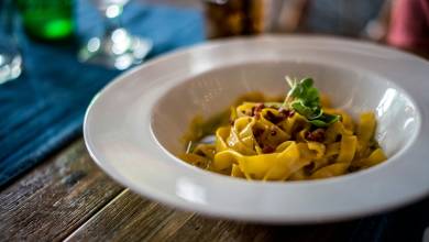 Signature Colombia | Stories Beneath Wax Palms