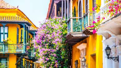 Signature Colombia | Stories Beneath Wax Palms