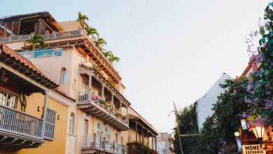 Signature Colombia | Stories Beneath Wax Palms