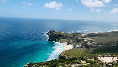 Signature South Africa | Wild Coasts & Winelands