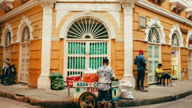Signature Colombia | Stories Beneath Wax Palms