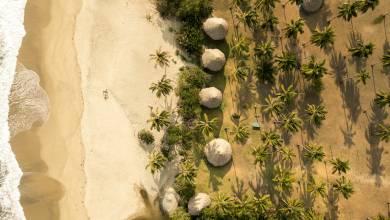 Signature Colombia | Stories Beneath Wax Palms