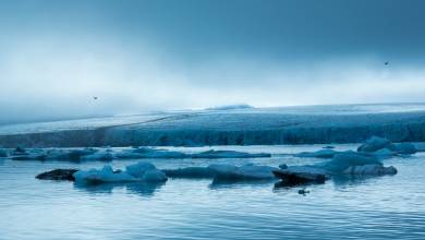 Scotland to Spitsbergen: Puffins, Sea Ice and Wildlife