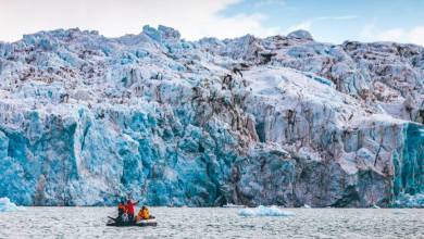 Scotland to Spitsbergen: Puffins, Sea Ice and Wildlife