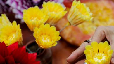 Signature Vietnam | In Fabric & Folklore