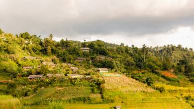 Signature Vietnam | In Fabric & Folklore