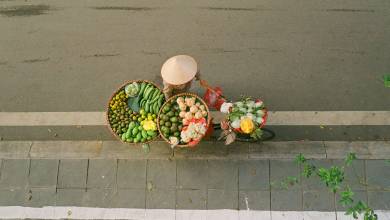 Signature Vietnam | In Fabric & Folklore