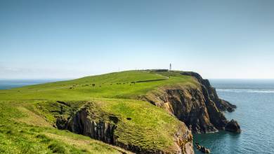 Scotland to Spitsbergen: Puffins, Sea Ice and Wildlife