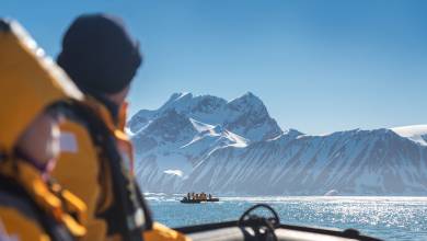 Svalbard in Summer: Tundra, Whales and Wildlife