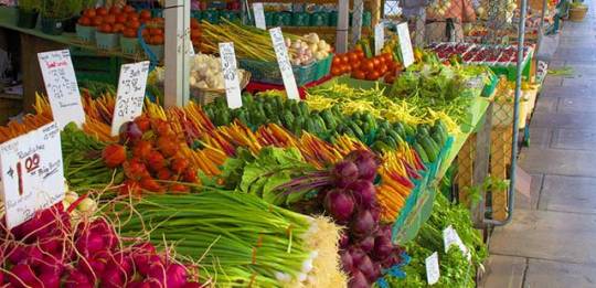 Bring the basic food with you and buy the rest in local markets