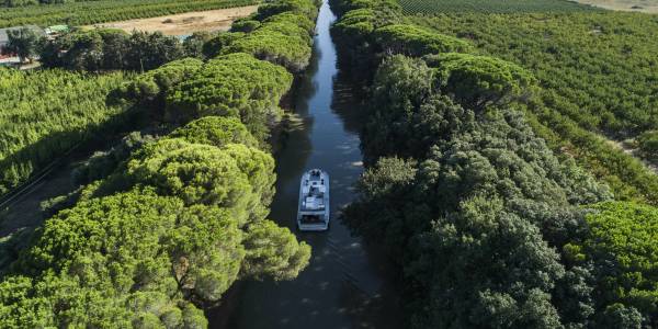 Una barca passa accanto a rive alberate sul Canal du Midi, perfetta per una crociera senza patente attraverso la Francia.
