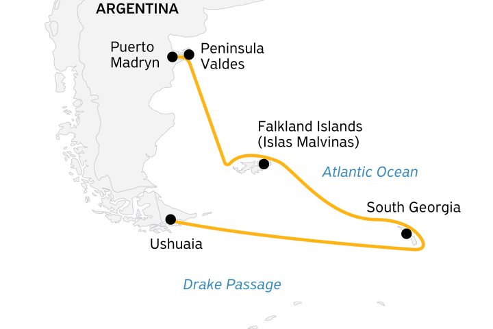 Falkland Islands and South Georgia: 20-Day Wildlife Adventure