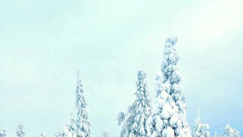 Finland Family Winter Adventure