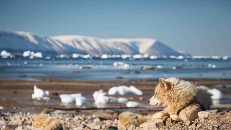 Northwest Passage: Epic High Arctic