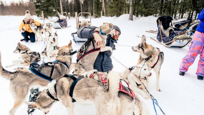 Finnish Wilderness Week