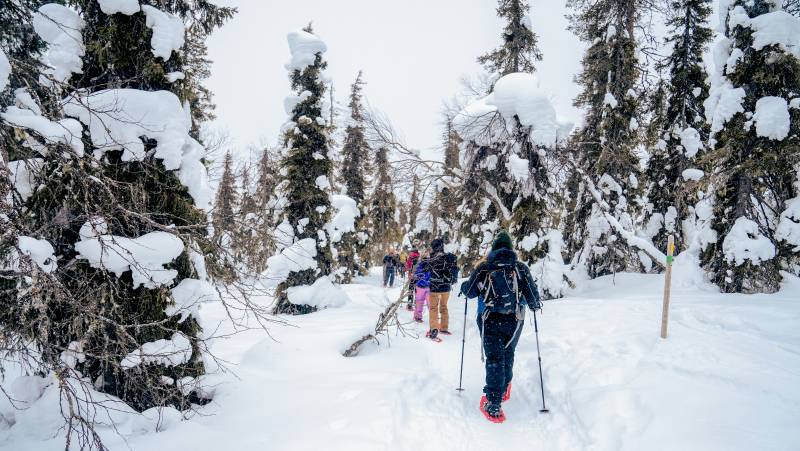 Finnish Wilderness Week