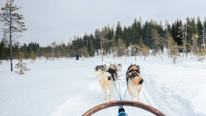Finnish Wilderness Week