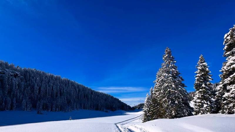Snowshoeing in the Dolomites – Premium Adventure