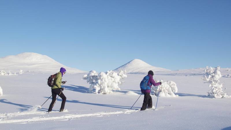 Cross-Country Skiing in Venabu