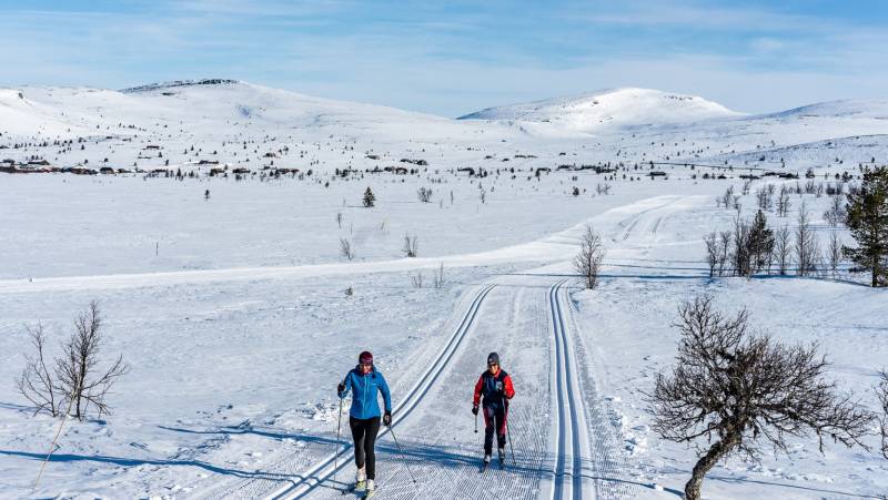 Cross-Country Skiing in Venabu