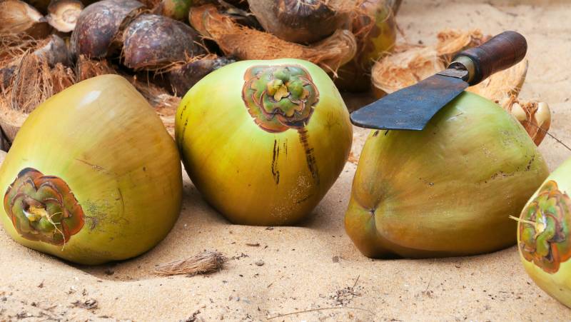 Cycle Kerala & Tropical India