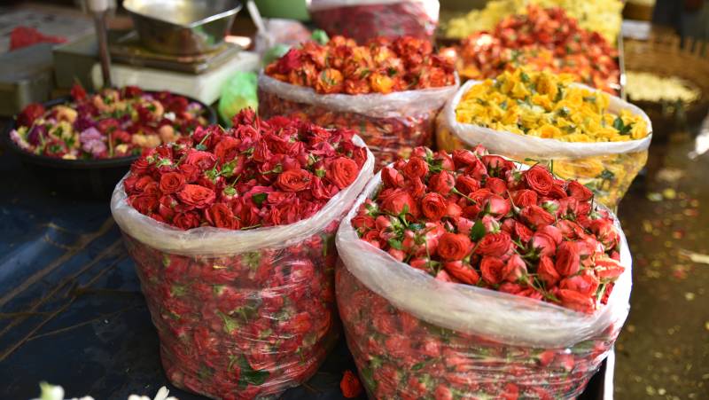 Southern India Coast to Coast Ride