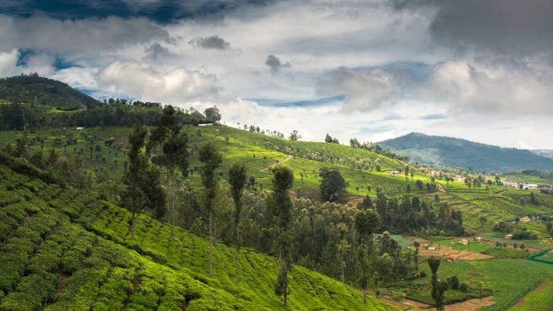 Discover South India – Premium Adventure